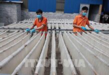 Làng nghề giữ lửa truyền thống bằng công nghệ số