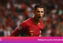 Toan tính sai lầm của FIFA