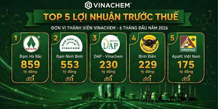 doanh thu 4
